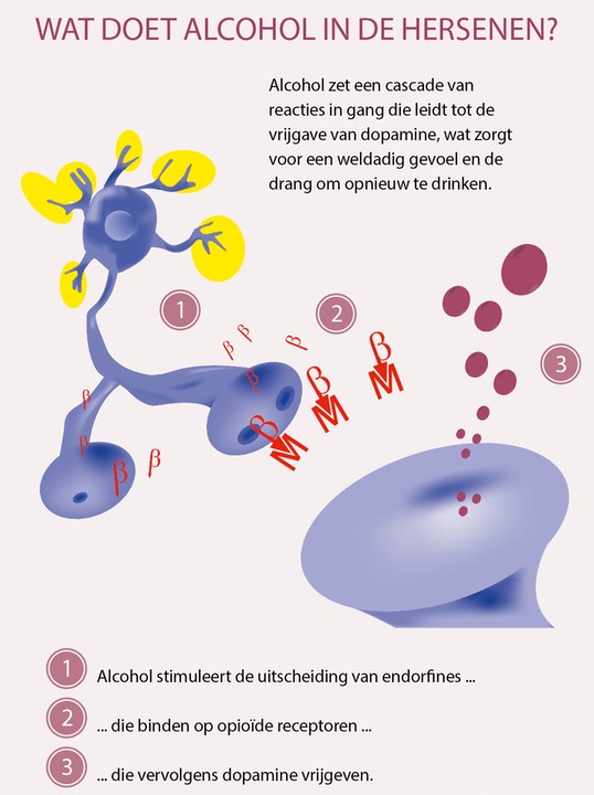 Les pilules fonctionnent-elles pour la dépendance à l alcool? 