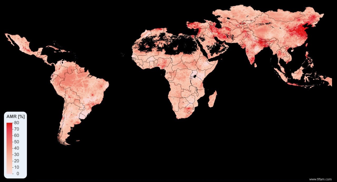 Plus de bétail, plus de résistance aux antibiotiques 