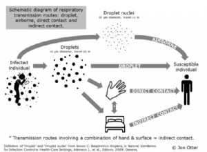 Six questions et réponses sur le coronavirus 