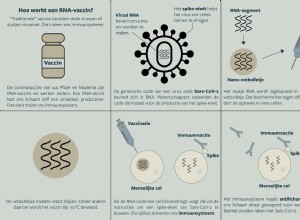 Cinq raisons pour lesquelles les vaccins à ARN ne modifient pas notre ADN 