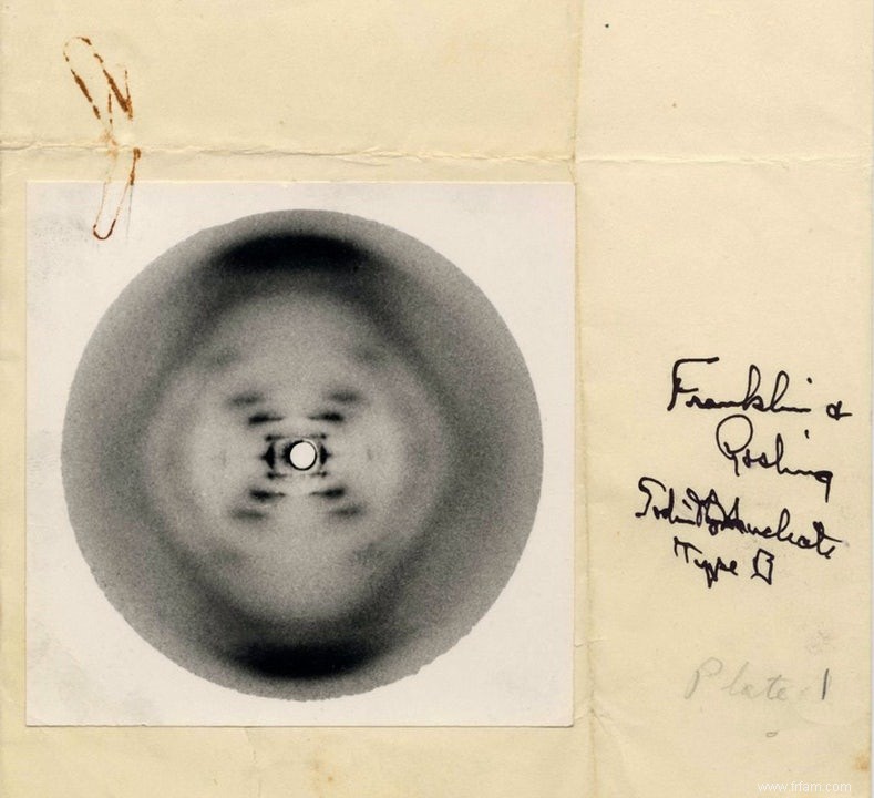 Génétique Hilde Van Esch sur l héroïne Rosalind Franklin, la découvreuse de l ADN 