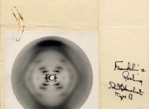 Génétique Hilde Van Esch sur l héroïne Rosalind Franklin, la découvreuse de l ADN 