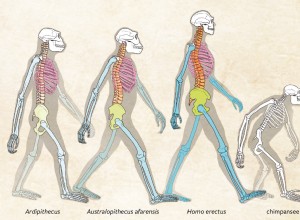 Pourquoi être paresseux est malsain 