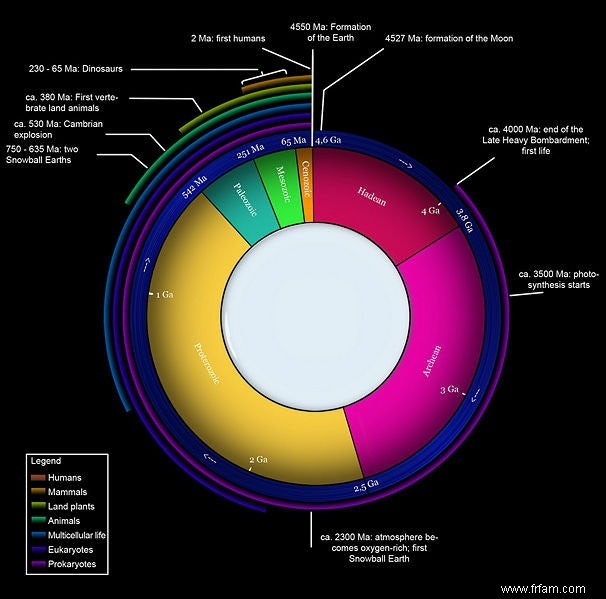 Dimensions vertigineuses 