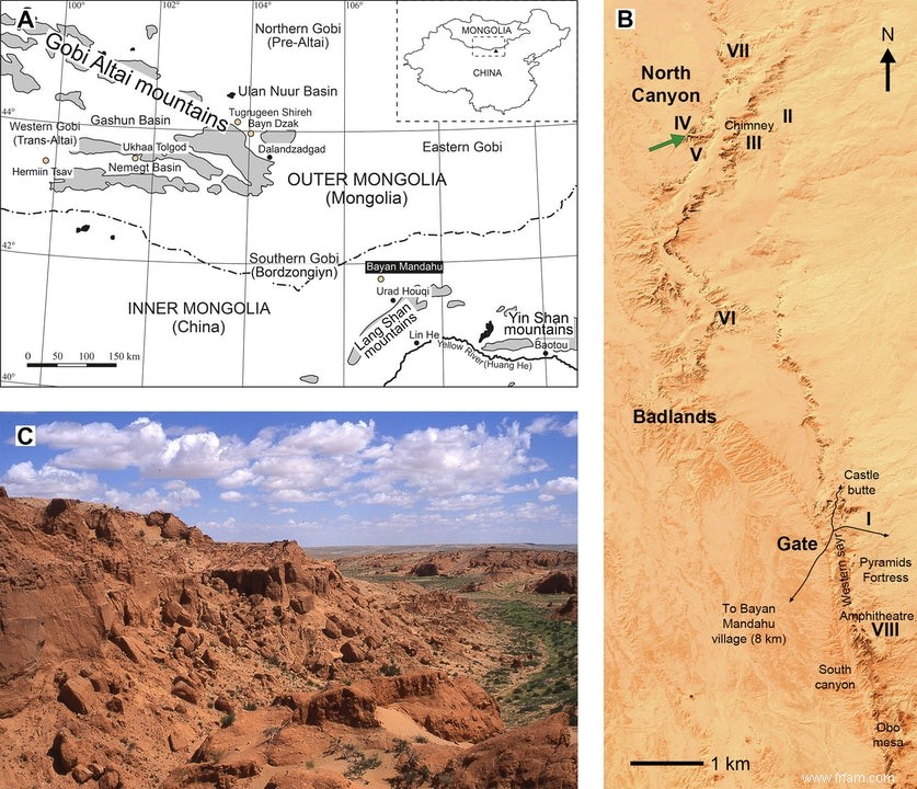 Deux mammifères primitifs qui vivaient à la fin de l ère des dinosaures 