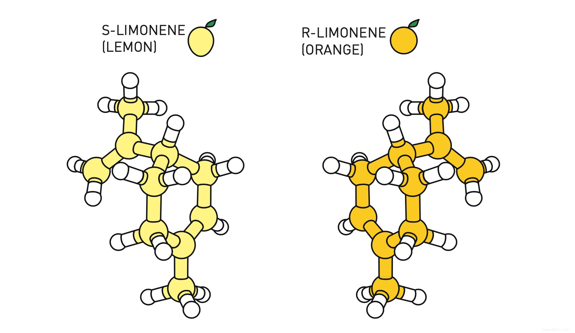 Prix ​​Nobel de chimie pour les  constructeurs de molécules organiques  