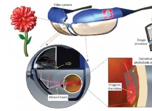 La science peut-elle redonner la vue aux aveugles ? 