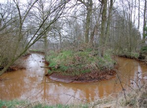 Quelle est la propreté de nos rivières ? 