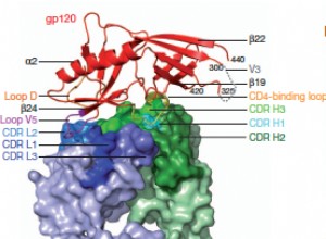 Evolution du VIH visualisée pendant l infection 