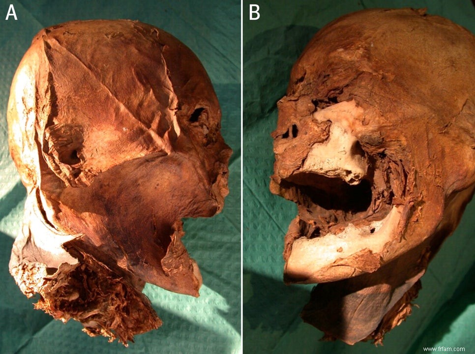 Tête d Henri IV probablement à quelqu un d autre 