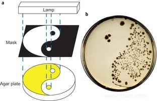 Antibiotique avec bouton marche-arrêt 