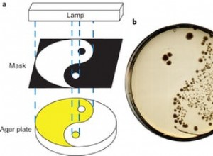 Antibiotique avec bouton marche-arrêt 