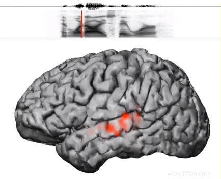 Comment notre cerveau déchiffre le langage 