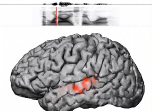 Comment notre cerveau déchiffre le langage 