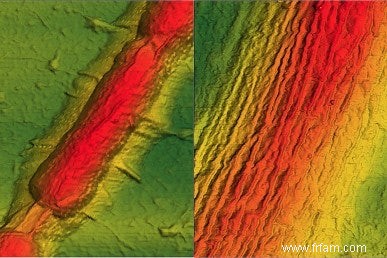 Des bactéries fabriquent du graphène  velours côtelé  