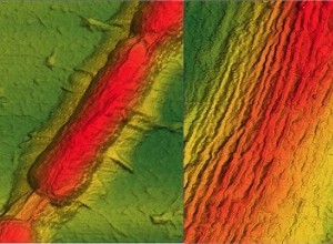 Des bactéries fabriquent du graphène  velours côtelé  