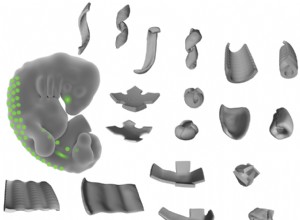 Des biologistes fabriquent des tissus humains dans les formes les plus folles 