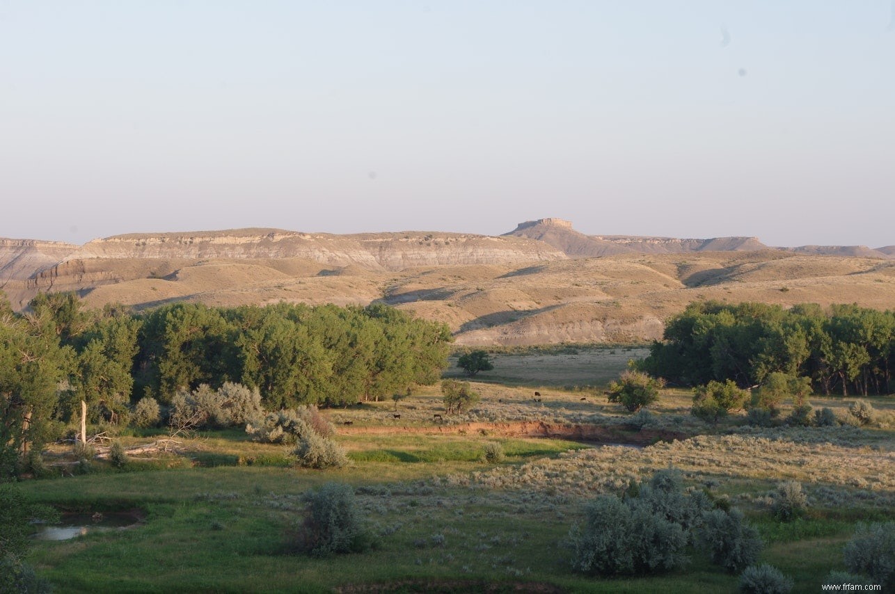 Chasse aux dinosaures dans le Wyoming (2) :Le vrai Jurassic Park 