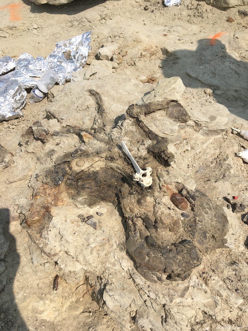 Chasse aux dinosaures dans le Wyoming (1) :beau cimetière 