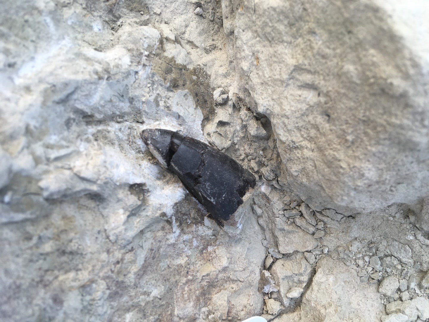 Chasse aux dinosaures dans le Wyoming (1) :beau cimetière 