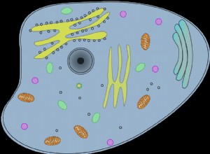 La cellule est-elle une machine ? 