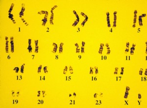 Comment détecte-t-on les variants dans l ADN ? 