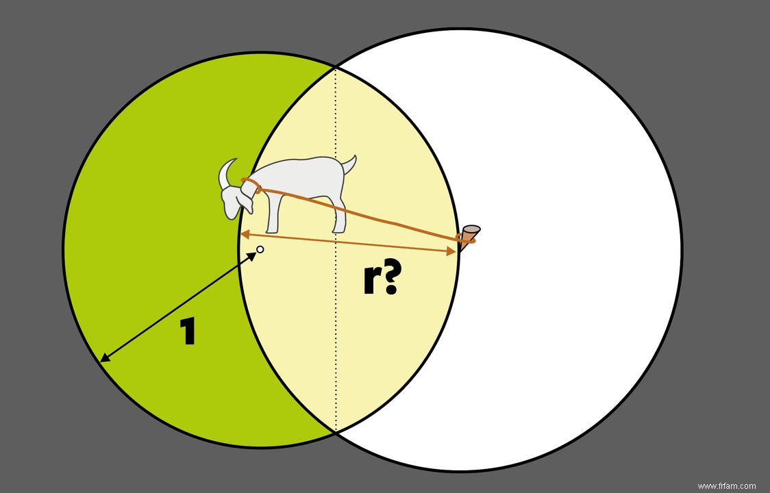 Quelle est la longueur de la corde idéale pour une chèvre ? Les mathématiques sont parfois plus difficiles qu il n y paraît 