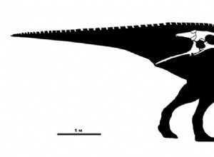 Des Belges découvrent un nouveau dinosaure 