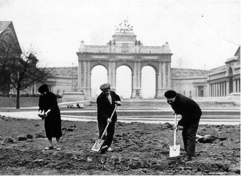 Le jardin familial en temps de guerre 