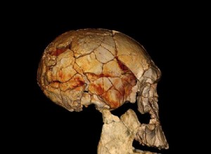 Deux espèces humaines cohabitaient avec Homo erectus 