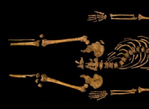 Squelette de Richard III identifié 