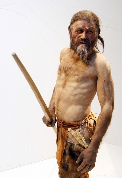 Cold case Ötzi rouvert 