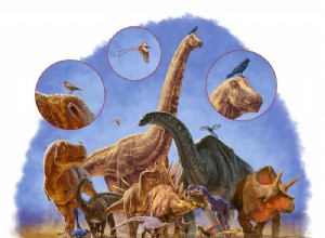 Petits dinos volants au succès évolutif 