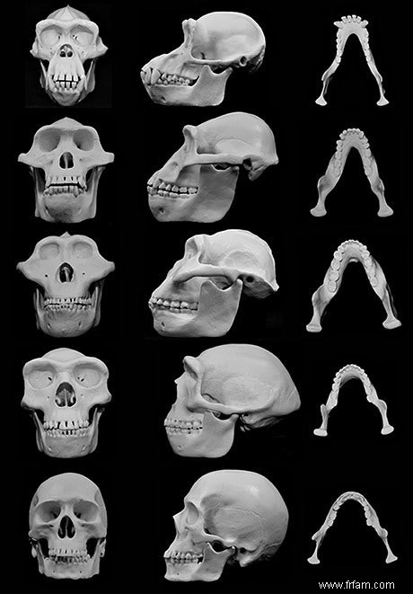 Un visage à graver 