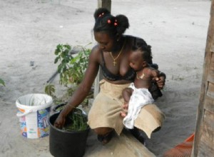 L origine africaine des maladies infantiles surinamaises 