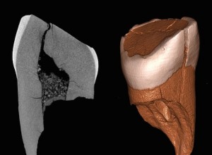 Le premier Européen montre les dents 