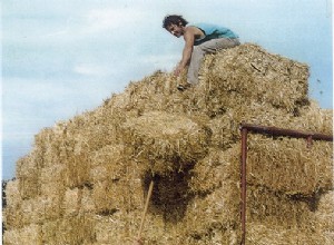 Faire de l agriculture autrement 