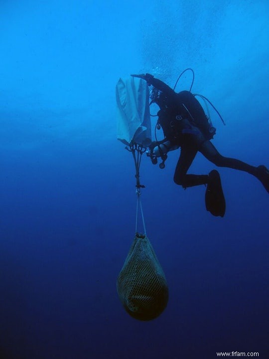 22 épaves sur les fonds marins de la mer Égée 