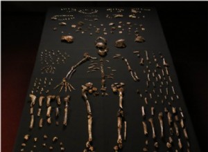 Ne dites pas Homo naledi, dites Homo homicidensis ? 