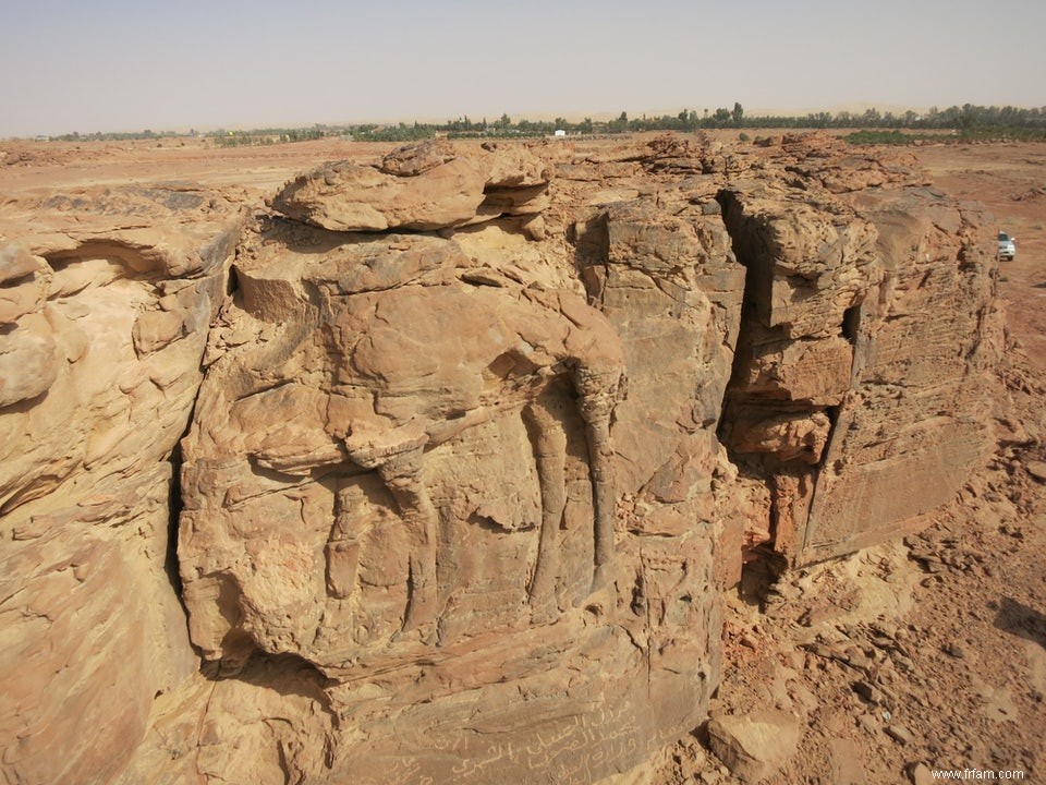 Les reliefs témoignent de la fascination séculaire pour les  navires du désert  