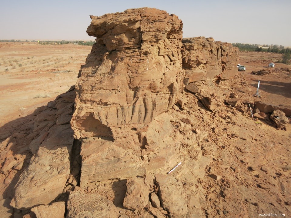 Les reliefs témoignent de la fascination séculaire pour les  navires du désert  