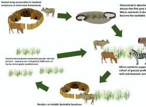 Les tas de fumier ont rendu la savane fertile 