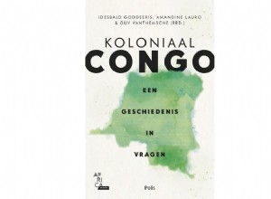 Une vision kaléidoscopique du Congo 