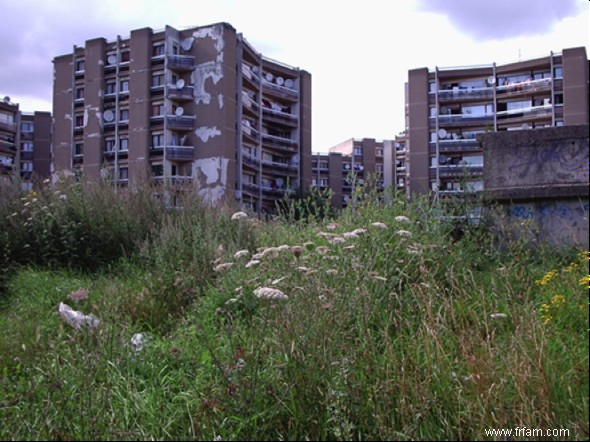  Ne rejetons pas les banlieues comme des foyers du djihadisme  