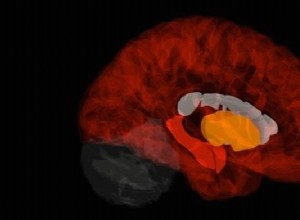 Un nouveau regard sur la maladie d Alzheimer 