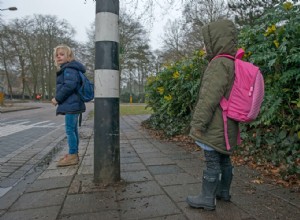 Pourquoi traverser la rue est si dangereux 