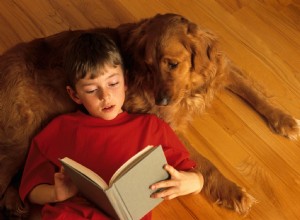 Votre enfant déteste lire ? Donnez-lui un chien comme public 