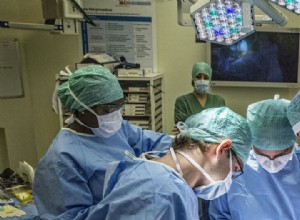 On ressemble à des singes dans la salle d opération 