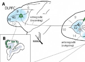 C est ainsi que votre cerveau maintient un équilibre entre émotion et ratio 