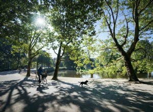 Les problèmes mentaux sont plus fréquents en ville. Voici les causes (et les solutions) 